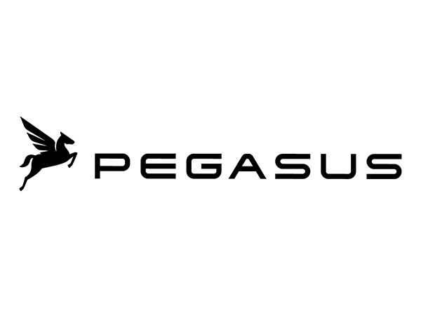 PEGASUS_2025_schwarz2
