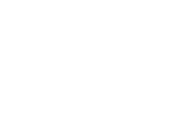 PEGASUS_2025_weiss3