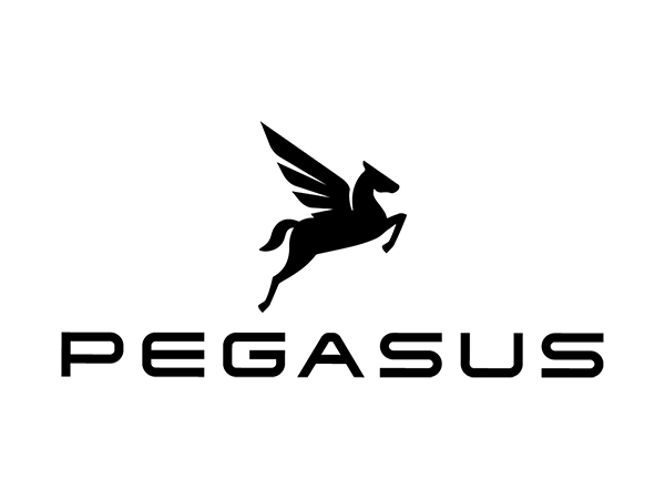 PEGASUS_2025_schwarz3
